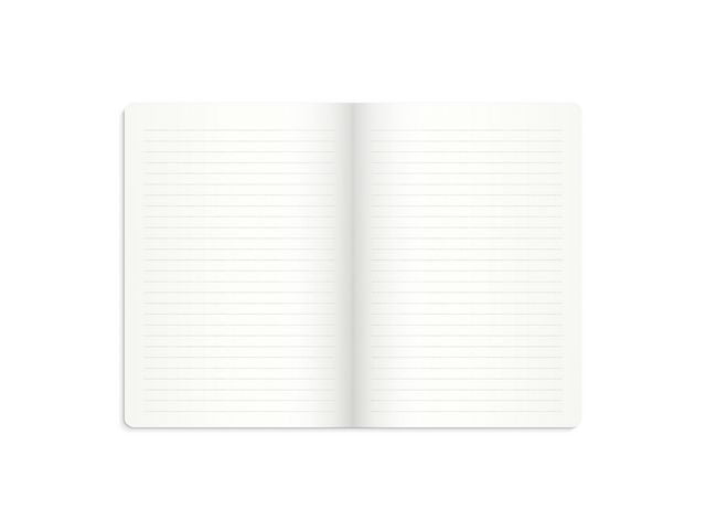 csv_image script asset.7949239.jpg