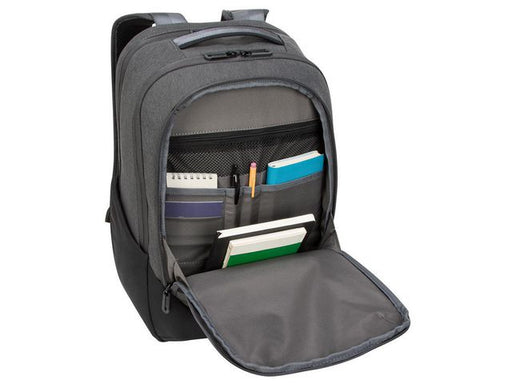 csv_image script asset.7985392.jpg