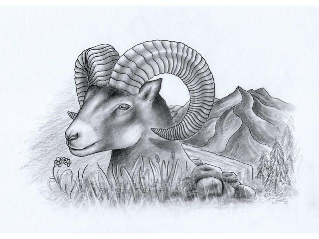 csv_image script asset.8033873.jpg