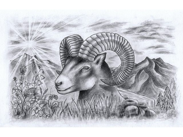 csv_image script asset.8033874.jpg