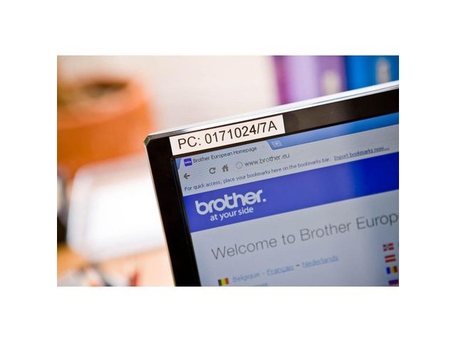 csv_image script asset.8048610.jpg