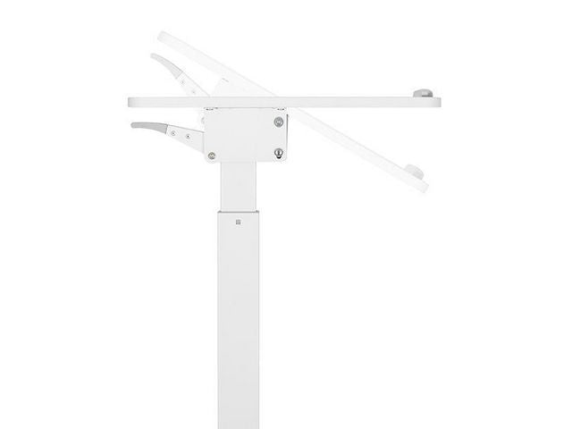 csv_image script asset.8050832.jpg