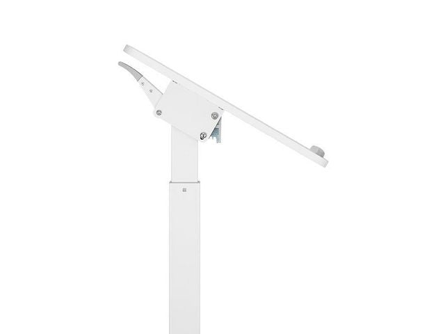 csv_image script asset.8050833.jpg