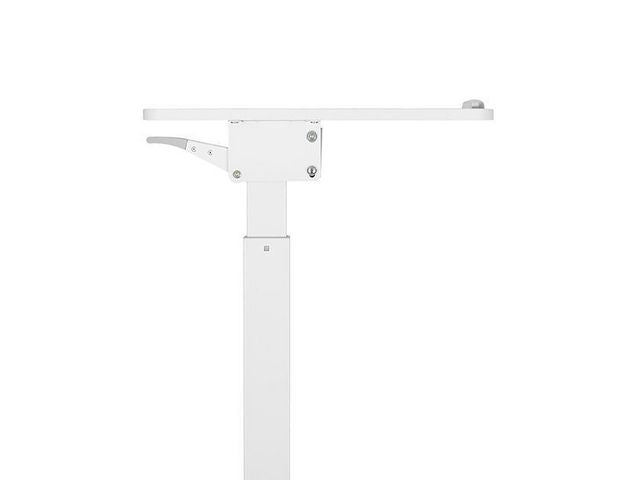 csv_image script asset.8050834.jpg