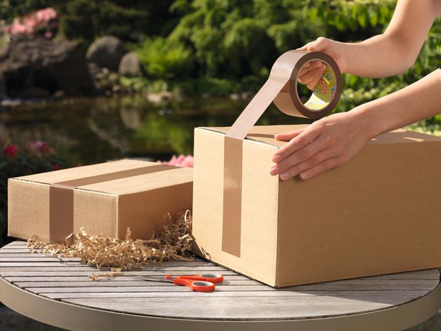 csv_image script asset.8058770.jpg