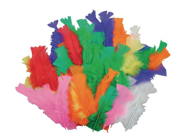 csv_image script asset.8068483.jpg