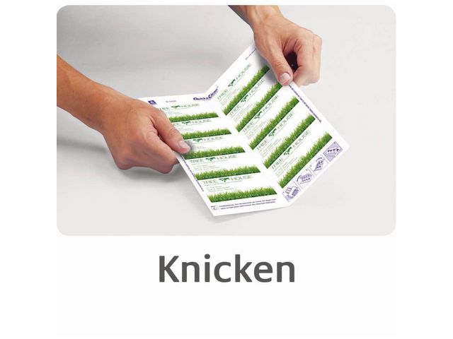 csv_image script asset.8077958.jpg