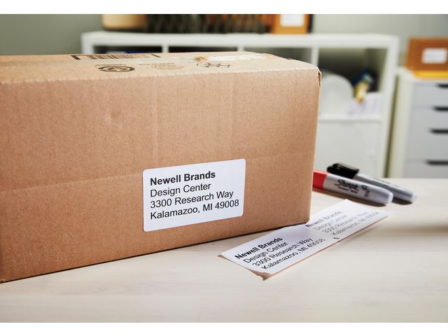 csv_image script asset.8171441.jpg