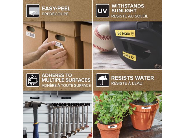 csv_image script asset.8171479.jpg