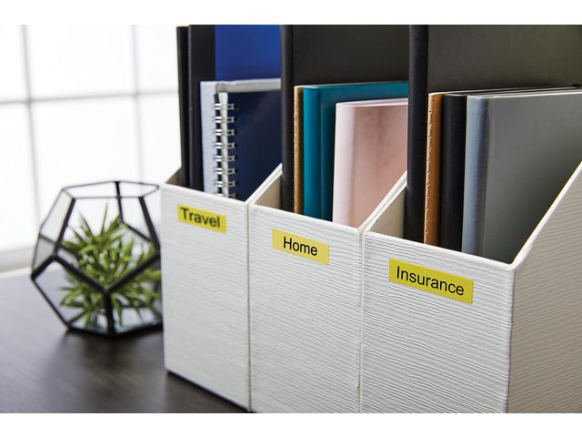 csv_image script asset.8171510.jpg