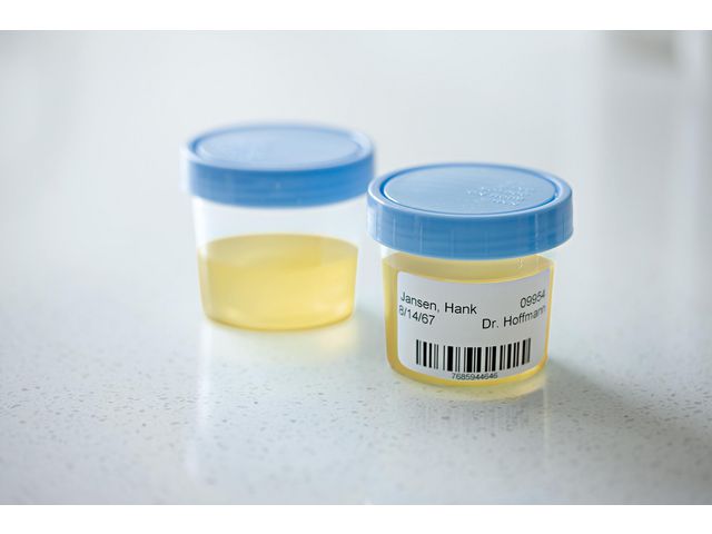 csv_image script asset.8171595.jpg