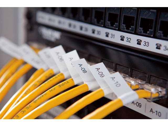 csv_image script asset.8171611.jpg