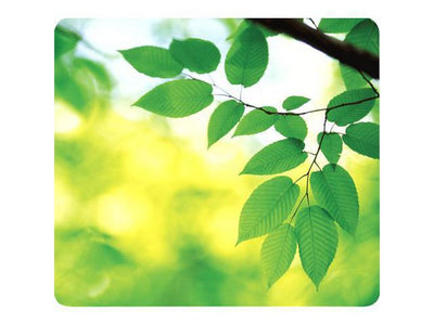 csv_image script asset.8259216.jpg