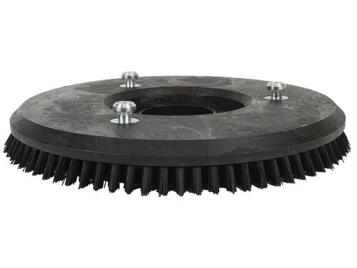 csv_image script asset.8322368.jpg