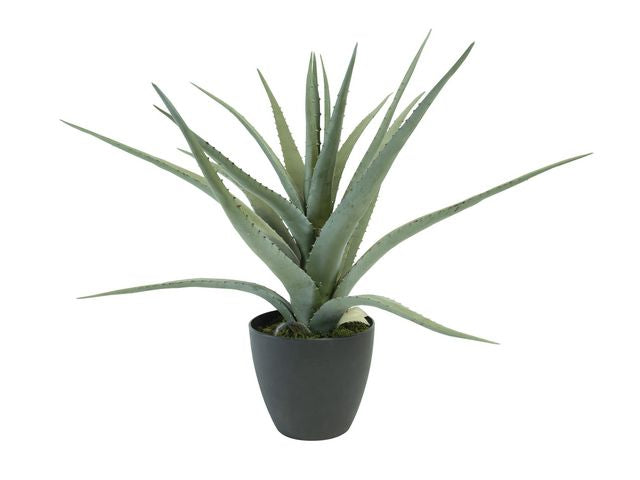 Kunstig plante Aloe vera 56cm