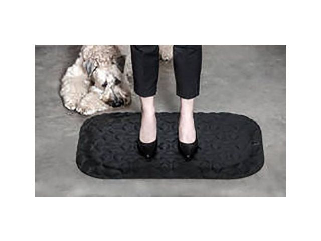 csv_image script asset.8367994.jpg