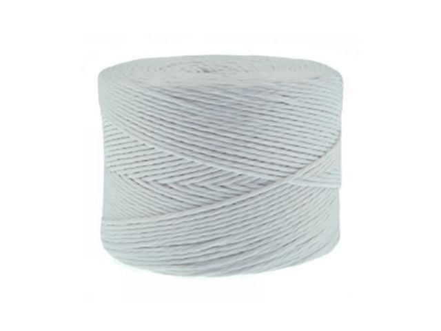 csv_image script asset.8398783.jpg