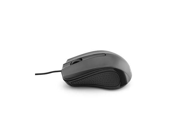 csv_image script asset.8484121.jpg