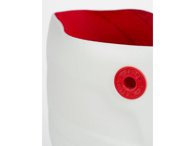 csv_image script asset.8558564.jpg