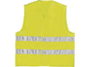 csv_image script asset.8558641.jpg