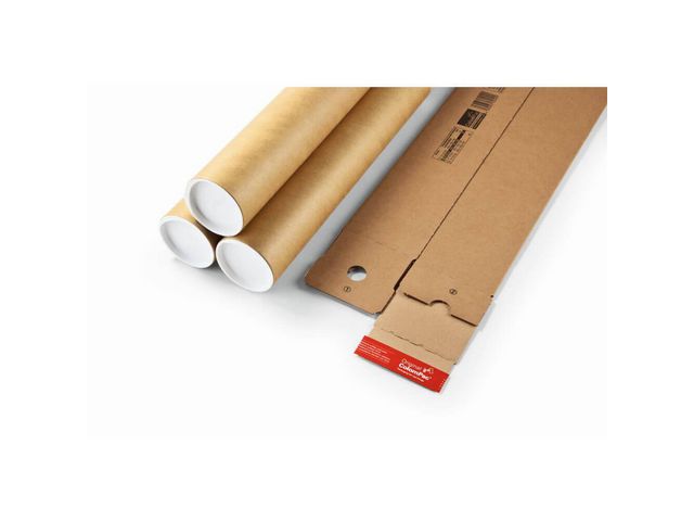 csv_image script asset.8558761.jpg