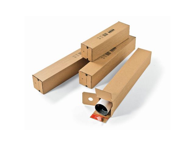 csv_image script asset.8558762.jpg