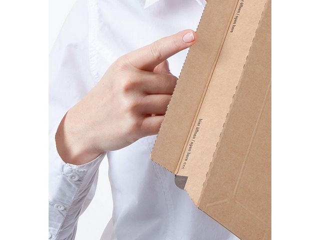 csv_image script asset.8558763.jpg