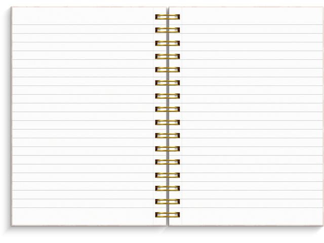 csv_image script asset.8594910.jpg