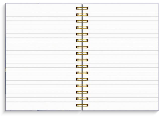 csv_image script asset.8594963.jpg