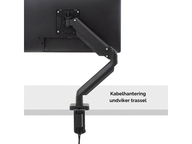 csv_image script asset.8691097.jpg