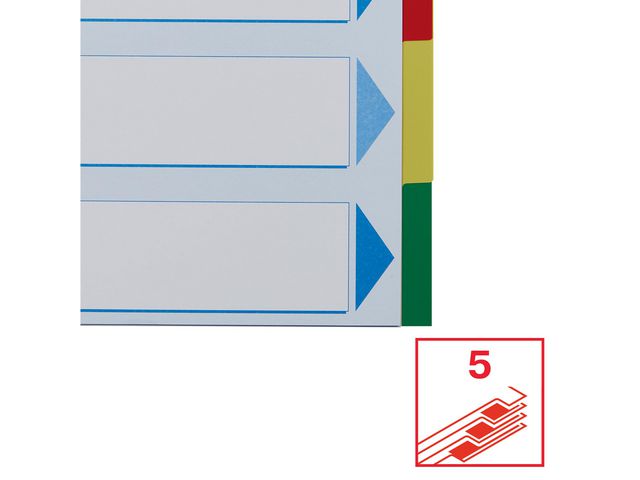 csv_image script asset.8691112.jpg