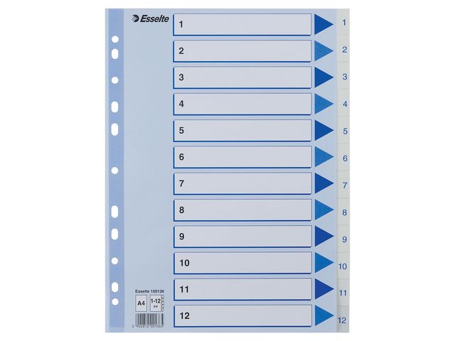 Register ESSELTE A4 plastic 1-12 blue/white