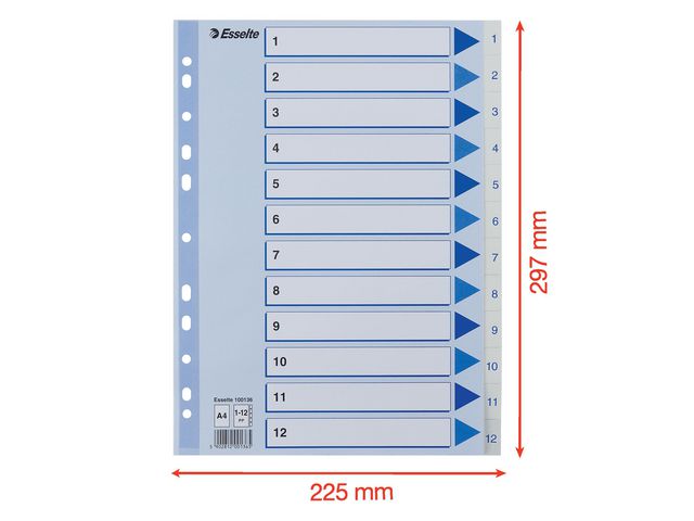 csv_image script asset.8691168.jpg