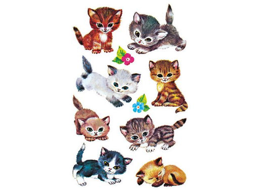 csv_image script asset.8762065.jpg