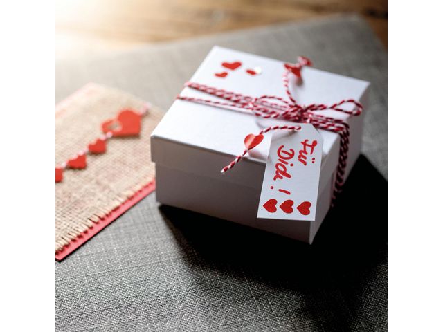 csv_image script asset.8765031.jpg