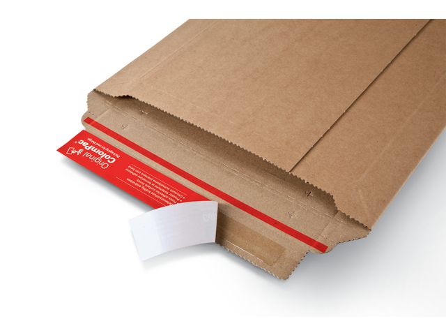 csv_image script asset.8765286.jpg