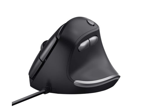 csv_image script asset.8773971.jpg