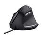 csv_image script asset.8773971.jpg