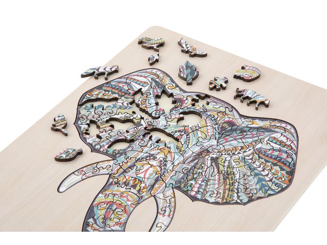 csv_image script asset.8774367.jpg