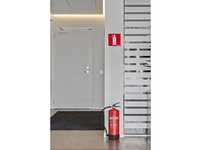 csv_image script asset.8779978.jpg