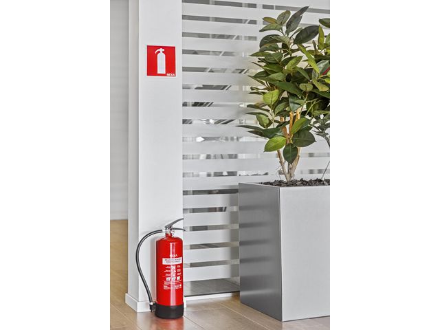 csv_image script asset.8779979.jpg