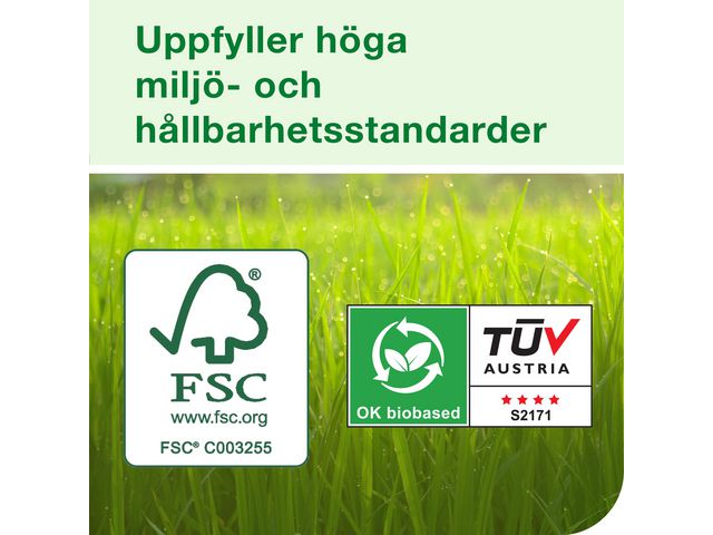 csv_image script asset.8790488.jpg