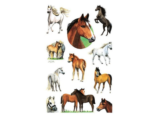 csv_image script asset.8799604.jpg