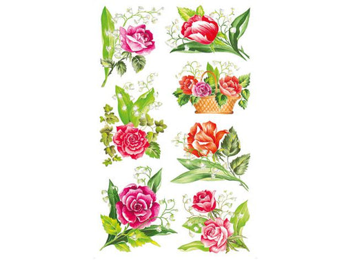 csv_image script asset.8799651.jpg