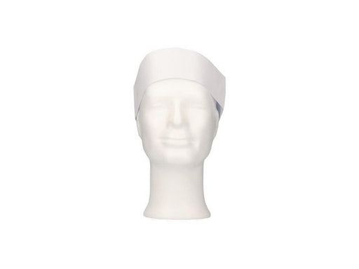 csv_image script asset.8799683.jpg