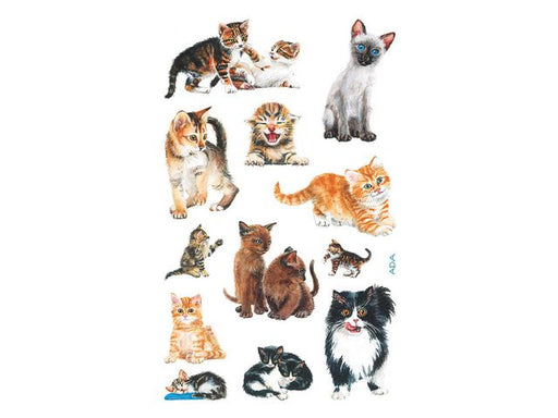 csv_image script asset.8799711.jpg