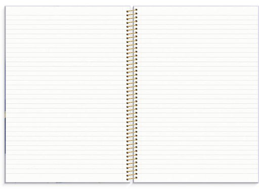 csv_image script asset.8809922.jpg