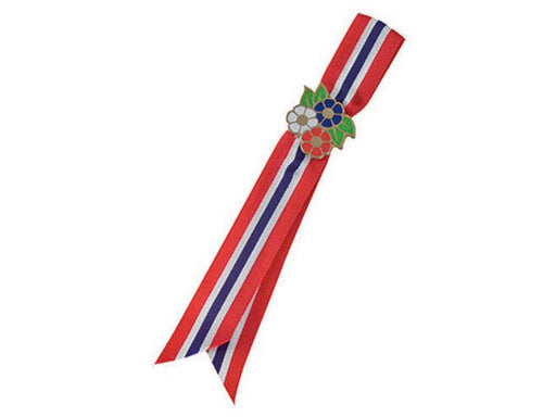 csv_image script asset.8849666.jpg