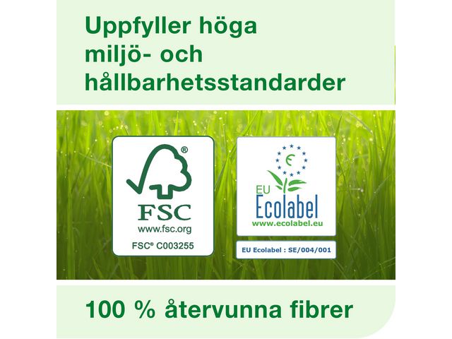 csv_image script asset.8878404.jpg