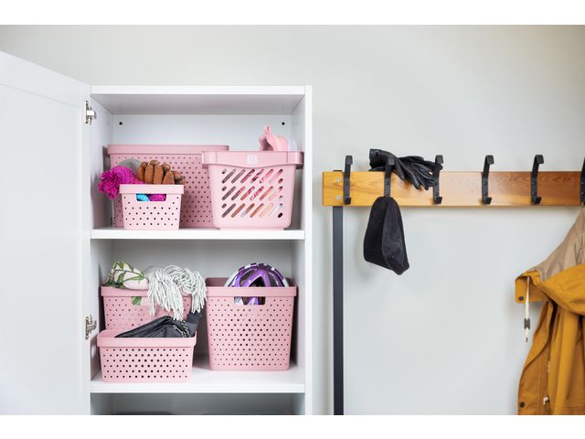 csv_image script asset.8897378.jpg